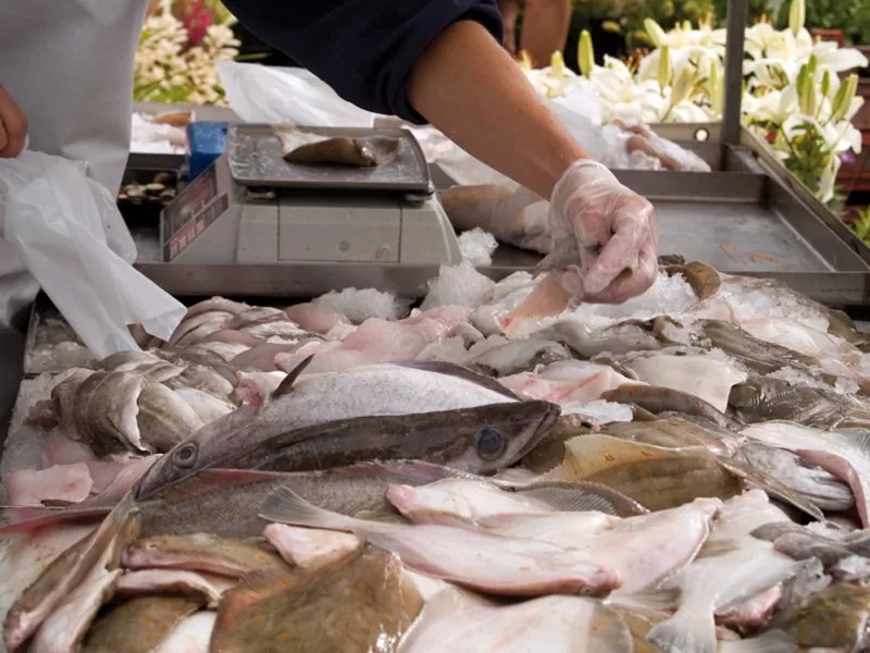 Recomendaciones para el consumo de pescados en Semana Santa